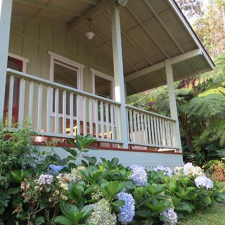 Carson'S Kaloko Mountain Cabin Kailua-Kona Extérieur photo