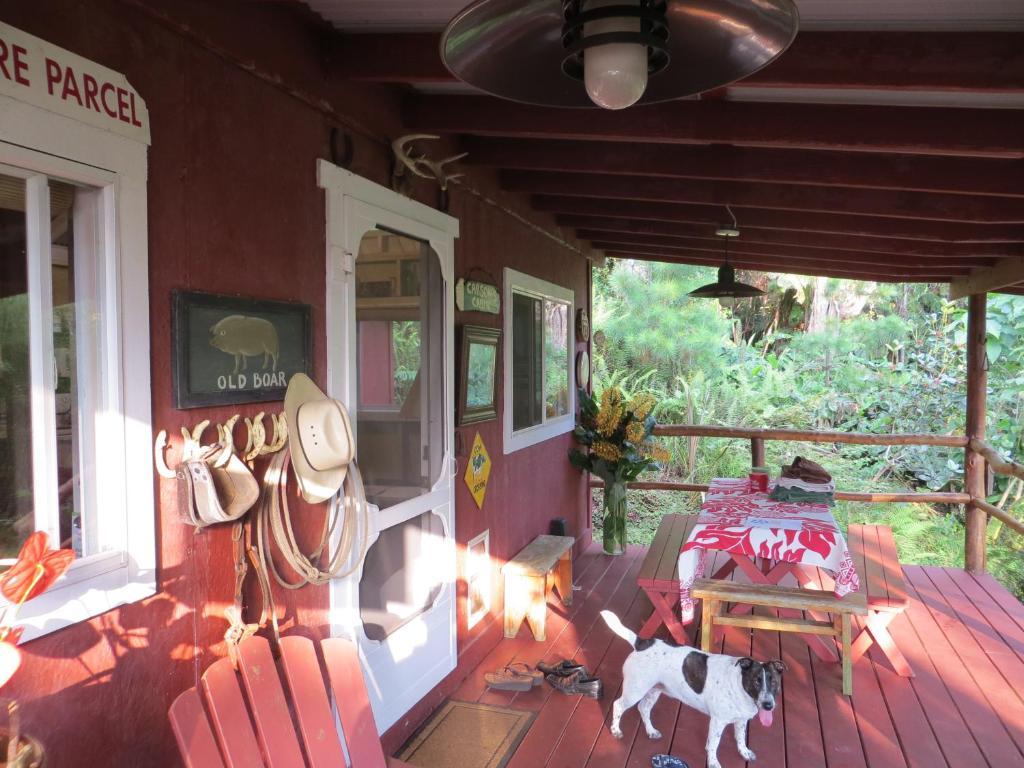 Carson'S Kaloko Mountain Cabin Kailua-Kona Chambre photo